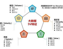 大数据的主要特征体现为,大数据的主要特征体现