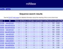 mirbase数据库,miRNA研讨的得力助手