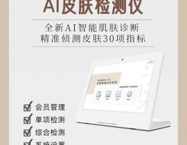 ai皮肤检测归纳分,技能革新与未来展望