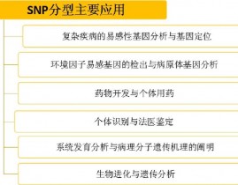 snp数据库,基因多态性的宝库