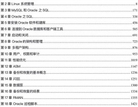 oracle运维,要害技术与最佳实践