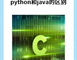 java和python的差异,深化解析两种编程言语的差异