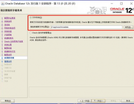 oracle下载装置