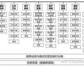 医院数据库,医院数据库的重要性与应战