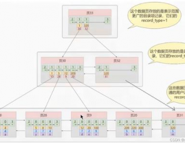 mysql索引结构,MySQL索引概述