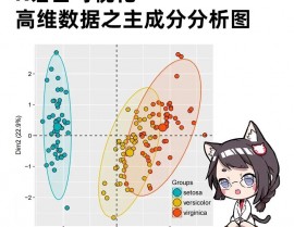 r言语plot函数,数据可视化的强壮东西