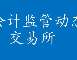 大数据新闻事例,数据要素商场建造的先行者