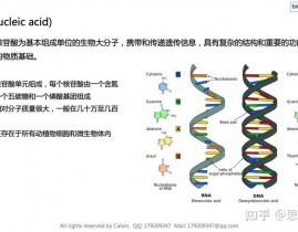 美ai综合征,打破与应战