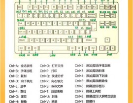 数据库怎么做,从入门到通晓