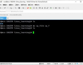 linux检查文件内容指令, cat指令