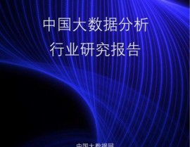 上海市大数据中心,推进城市数字化转型的重要力气