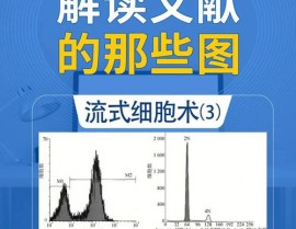 html流式布局,什么是流式布局？