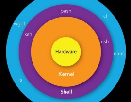 linux中bash是什么,什么是Linux中的Bash？