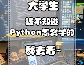 python深度学习,从根底到实践