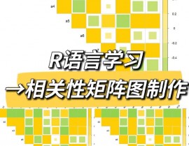 r言语cor,深化了解相联系数核算