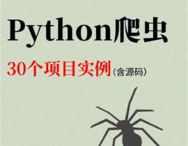 python爬虫有什么用,Python爬虫的广泛运用与价值