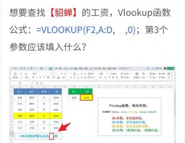 r言语自界说函数,进步编程功率的利器