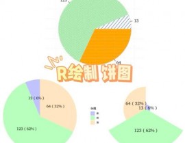 r言语饼图,从根底到高档使用