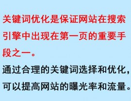 数据库简历,搜索引擎优化攻略