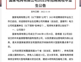 国家电网大数据中心招聘