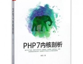 php缺陷,揭秘其局限性