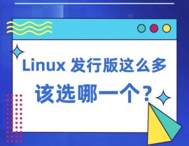 linux哪个体系好用,Linux体系哪个好用？深度解析不同发行版的优缺点