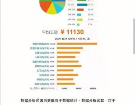 深圳大数据公司排名,立异驱动下的职业俊彦