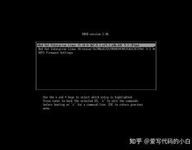 linux开机进入grub,Linux体系开机进入GRUB的具体攻略