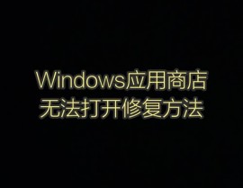 windows无法