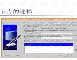 oracle数据库集群,构建高可用性与可扩展性的处理方案