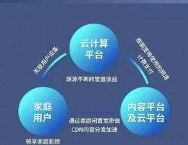 云核算商业形式,云核算商业形式的兴起与演化