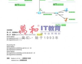 linux怎样设置ip,静态IP地址装备