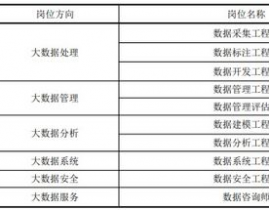 大数据岗位要求,大数据岗位概述