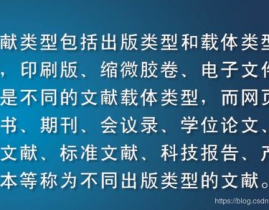 大数据论文参阅文献,二、参阅文献格局标准