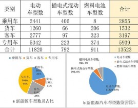 新动力轿车数据库,新动力轿车数据库概述