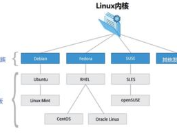 Linux体系分类,Linux体系概述