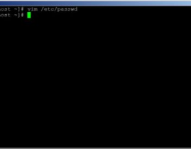 linux怎样退出vi,Linux下vi修正器简介