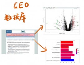 数据库含糊查询,进步数据检索功率的要害技能