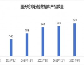 我国数据库,我国数据库商场的兴起与开展趋势