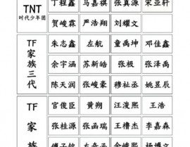 TF少年GO,TF宗族的克己综艺节目解析