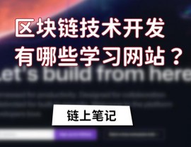 区块链开源,技能革新与生态构建的引擎