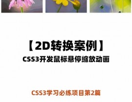 css扩大缩小, 运用`transform: scale()`完成扩大缩小