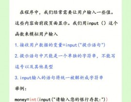 python输入字符串, 运用 input() 函数接纳用户输入