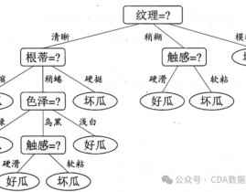 机器学习决议计划树,深化解析机器学习中的决议计划树算法