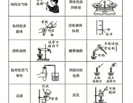 c言语试验心得,试验布景与意图