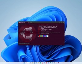 适用于linux的windows子体系,深化了解适用于Linux的Windows子体系（WSL）