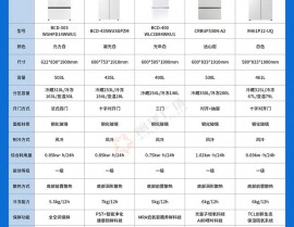 嵌入式冰箱哪个牌子好,嵌入式冰箱哪个牌子好？2024年选购指南