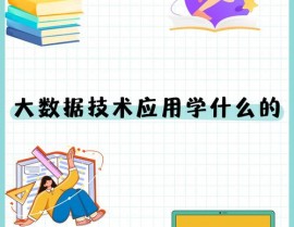 dm数据库,功用、功用与使用