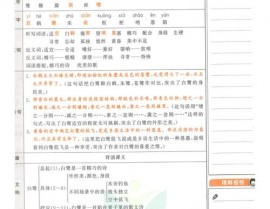 html5页面布局代码