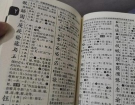 python字典, 字典的根本概念